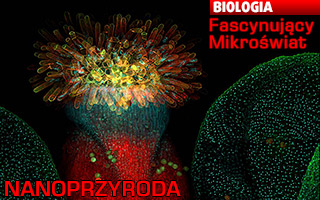 Biologia