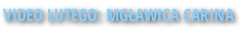 VIDEO LUTEGO: MGŁAWICA CARINA
