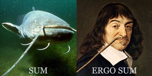 Cogito-ergo-sum-Kartezjusz