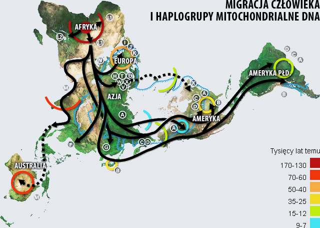 Human-Migrations-Map