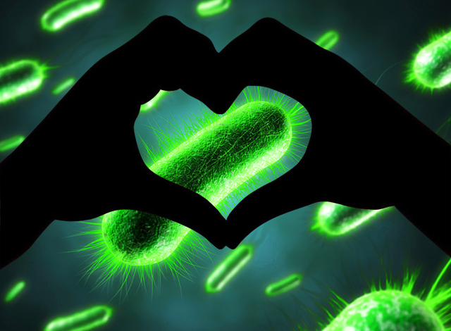 Religion-and-Epidemic