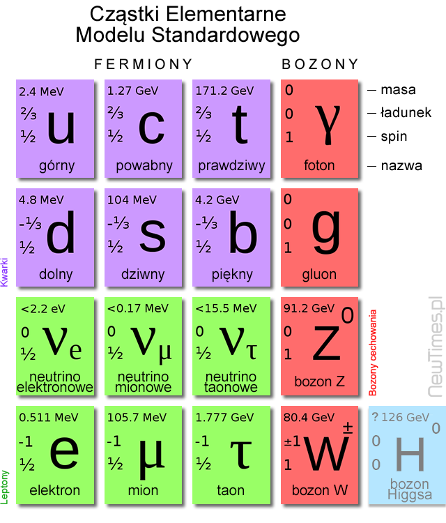 Michio-Kaku-Elementary-Particles