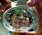 Stem-Cell-Cloning