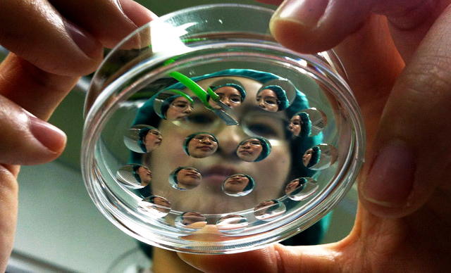 Stem-Cell-Cloning