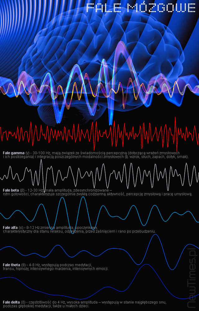 Clinical-Death-Brainwaves