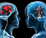 Brains-Man-and-Woman
