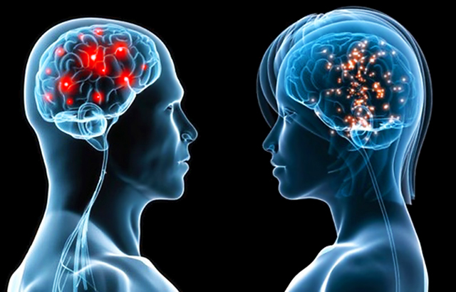Brains-Man-and-Woman