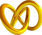 Torus-Light-Field-Knot