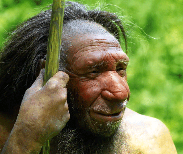 Neanderthaler-Homo-Sapiens-Neanderthalensis